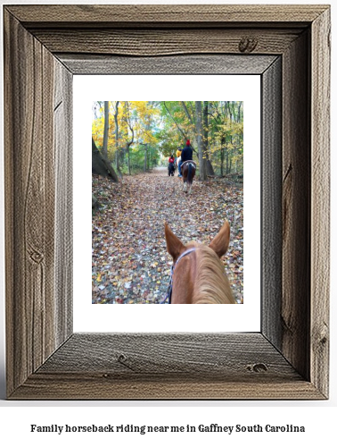 family horseback riding near me in Gaffney, South Carolina